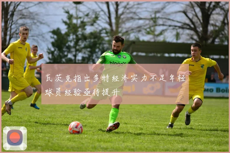 瓦茨克指出多特经济实力不足年轻球员经验亟待提升
